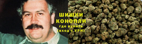 стаф Нефтегорск