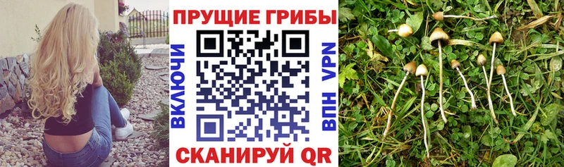 hydra ONION  Сорск  Псилоцибиновые грибы MAGIC MUSHROOMS 